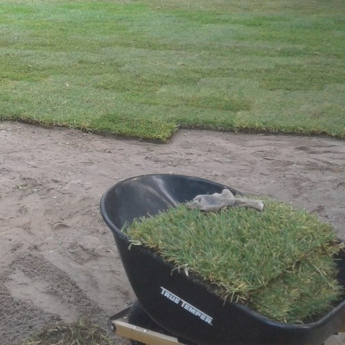 Types of sod installation in Kenner & Metairie